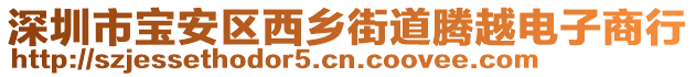 深圳市寶安區(qū)西鄉(xiāng)街道騰越電子商行