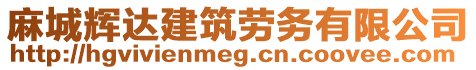 麻城輝達(dá)建筑勞務(wù)有限公司