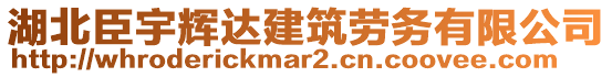 湖北臣宇輝達建筑勞務有限公司