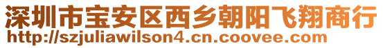 深圳市寶安區(qū)西鄉(xiāng)朝陽(yáng)飛翔商行