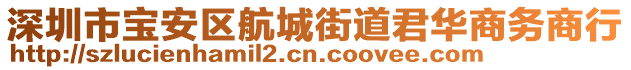 深圳市寶安區(qū)航城街道君華商務(wù)商行