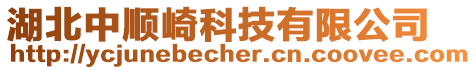 湖北中順崎科技有限公司