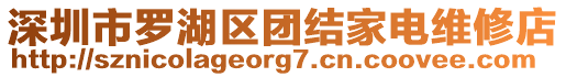 深圳市羅湖區(qū)團(tuán)結(jié)家電維修店