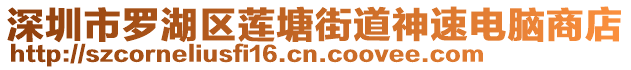 深圳市羅湖區(qū)蓮塘街道神速電腦商店