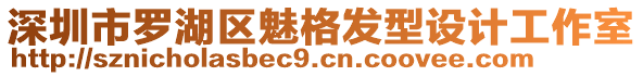 深圳市羅湖區(qū)魅格發(fā)型設(shè)計(jì)工作室