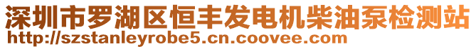 深圳市羅湖區(qū)恒豐發(fā)電機(jī)柴油泵檢測(cè)站