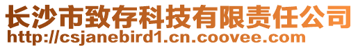 长沙市致存科技有限责任公司