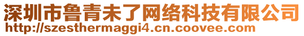 深圳市鲁青未了网络科技有限公司