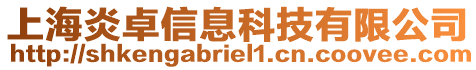 上海炎卓信息科技有限公司