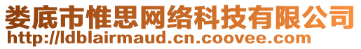 婁底市惟思網(wǎng)絡(luò)科技有限公司