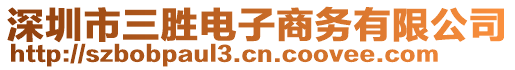 深圳市三勝電子商務(wù)有限公司