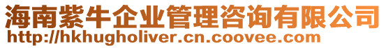 海南紫牛企業(yè)管理咨詢有限公司