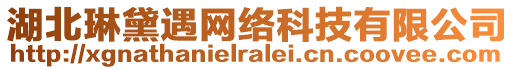 湖北琳黛遇網(wǎng)絡(luò)科技有限公司