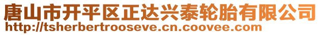 唐山市开平区正达兴泰轮胎有限公司