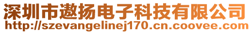 深圳市遨揚電子科技有限公司