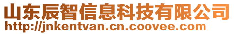 山東辰智信息科技有限公司