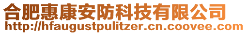 合肥惠康安防科技有限公司