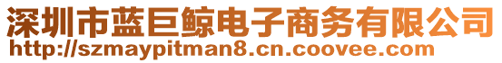 深圳市藍(lán)巨鯨電子商務(wù)有限公司