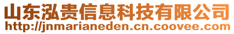 山東泓貴信息科技有限公司