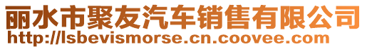 麗水市聚友汽車銷售有限公司