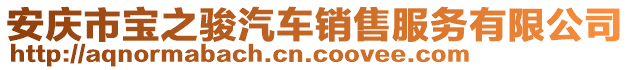 安慶市寶之駿汽車銷售服務(wù)有限公司