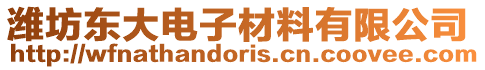 濰坊東大電子材料有限公司