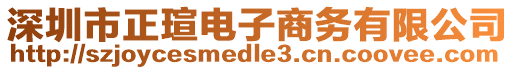 深圳市正瑄電子商務有限公司