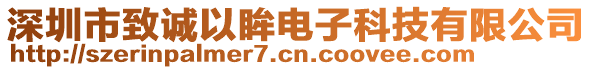 深圳市致誠以眸電子科技有限公司