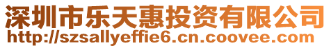 深圳市樂天惠投資有限公司