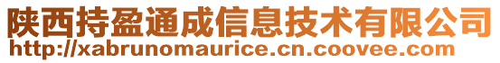 陜西持盈通成信息技術有限公司