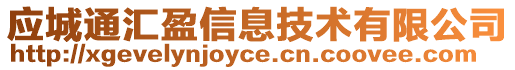 應(yīng)城通匯盈信息技術(shù)有限公司