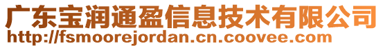 廣東寶潤(rùn)通盈信息技術(shù)有限公司