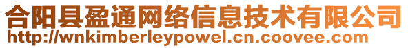 合阳县盈通网络信息技术有限公司