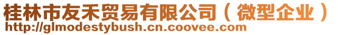 桂林市友禾貿(mào)易有限公司（微型企業(yè)）