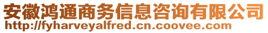 安徽鴻通商務(wù)信息咨詢有限公司