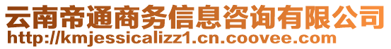 云南帝通商務信息咨詢有限公司