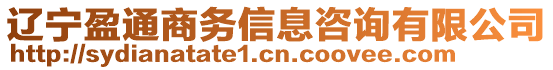 遼寧盈通商務(wù)信息咨詢有限公司