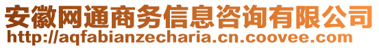 安徽网通商务信息咨询有限公司