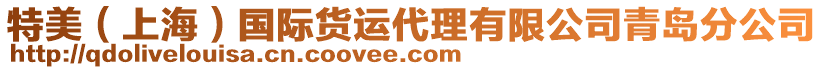 特美（上海）國(guó)際貨運(yùn)代理有限公司青島分公司