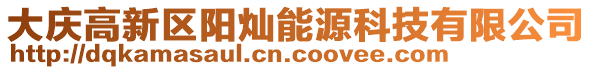 大慶高新區(qū)陽(yáng)燦能源科技有限公司