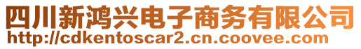 四川新鸿兴电子商务有限公司