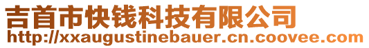 吉首市快錢科技有限公司