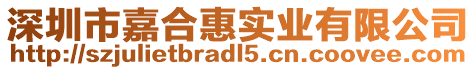 深圳市嘉合惠實業(yè)有限公司