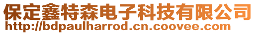 保定鑫特森電子科技有限公司