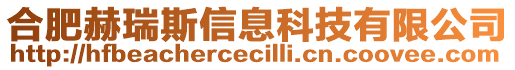 合肥赫瑞斯信息科技有限公司