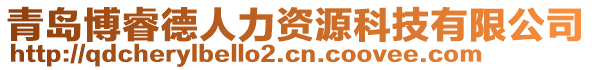 青島博睿德人力資源科技有限公司