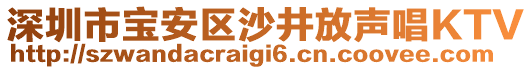 深圳市寶安區(qū)沙井放聲唱KTV