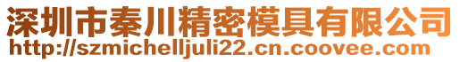 深圳市秦川精密模具有限公司