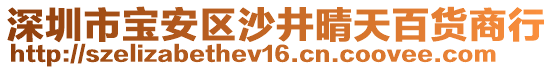 深圳市寶安區(qū)沙井晴天百貨商行