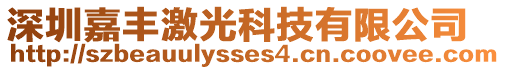 深圳嘉豐激光科技有限公司